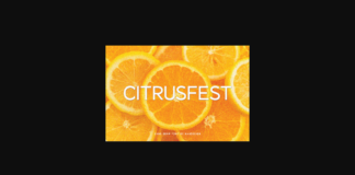 Citrusfest Font Poster 1