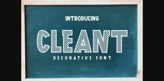 Cleant Font Poster 1