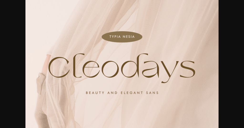 Cleodays Font Poster 3