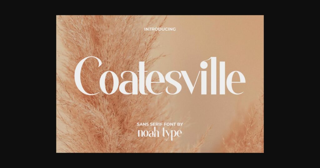 Coatesville Font Poster 3