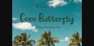 Coco Butterfly Font Poster 1