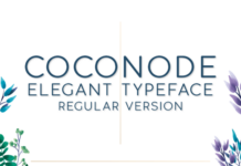 Coconode Font