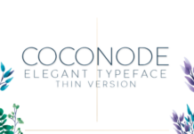 Coconode Thin Font