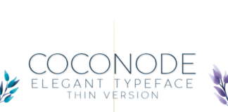 Coconode Thin Font