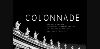 Colonnade Font Poster 1