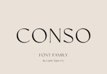 Conso Font Poster 1