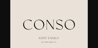 Conso Font Poster 1