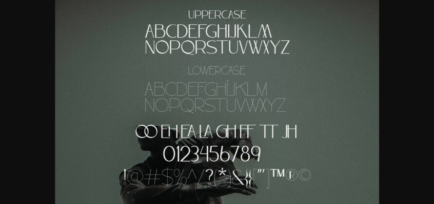 Coopy Font Poster 10