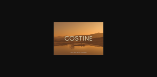 Costine Font Poster 1