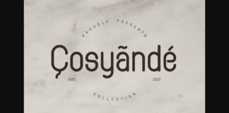 Cosyande Font Poster 1