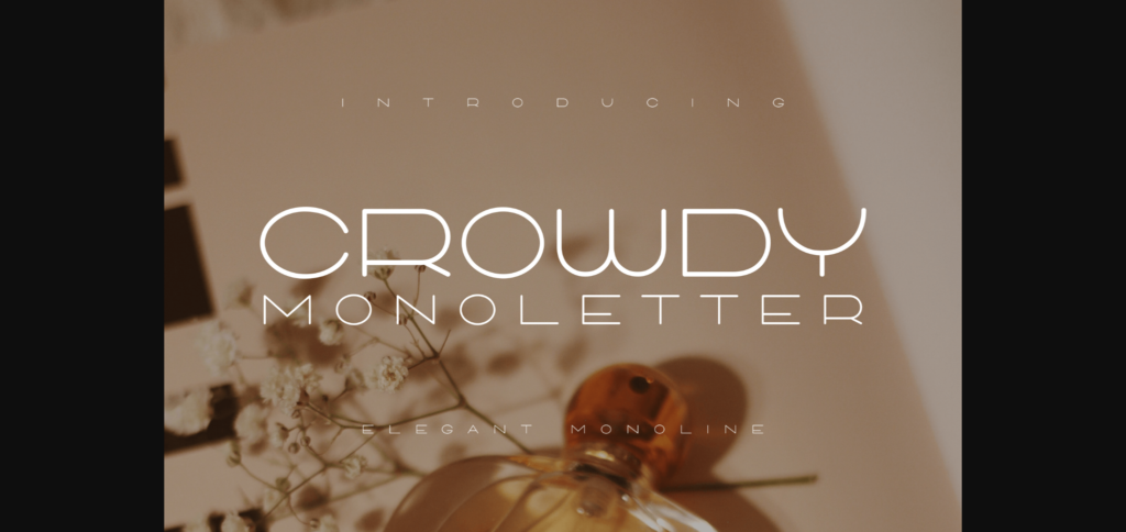 Crowdy Monoletter Font Poster 3