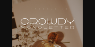 Crowdy Monoletter Font Poster 1