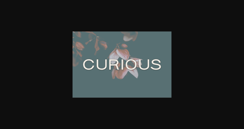 Curious Font Poster 1