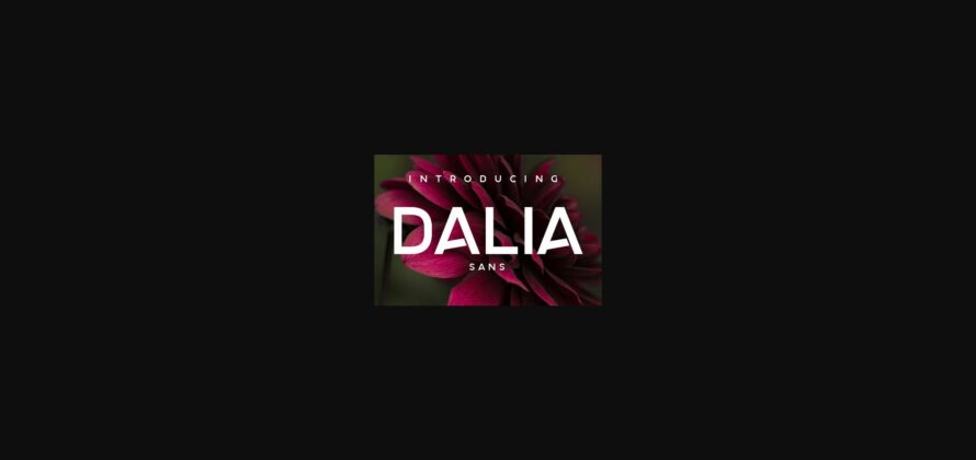 Dalia Font Poster 1