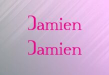 Damien Fonts