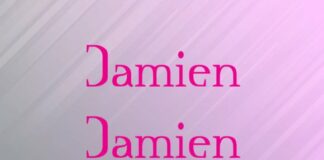 Damien Fonts