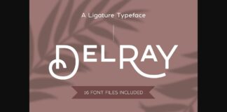 Delray Font Poster 1