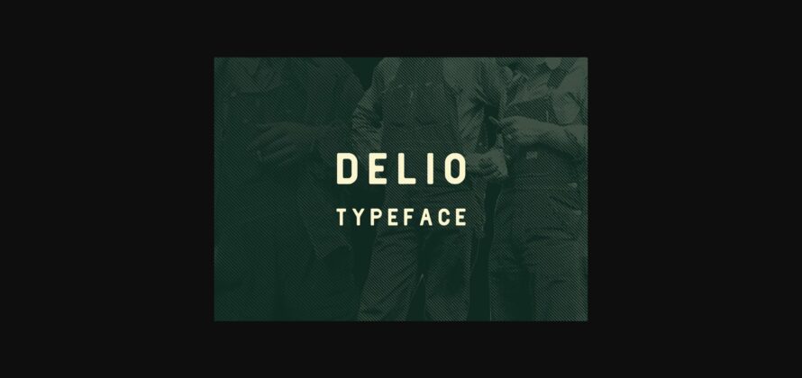 Delio Font Poster 3