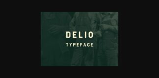 Delio Font Poster 1