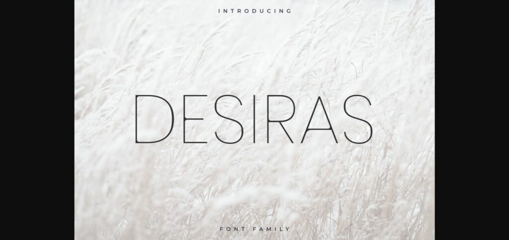 Desiras Font Poster 3