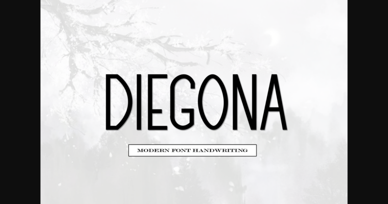 Diegona Font Poster 3