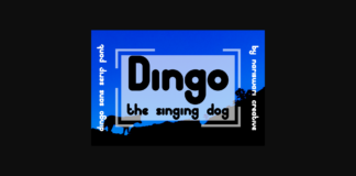 Dingo Font Poster 1