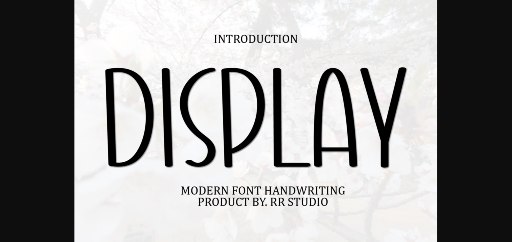 Display Font Poster 3