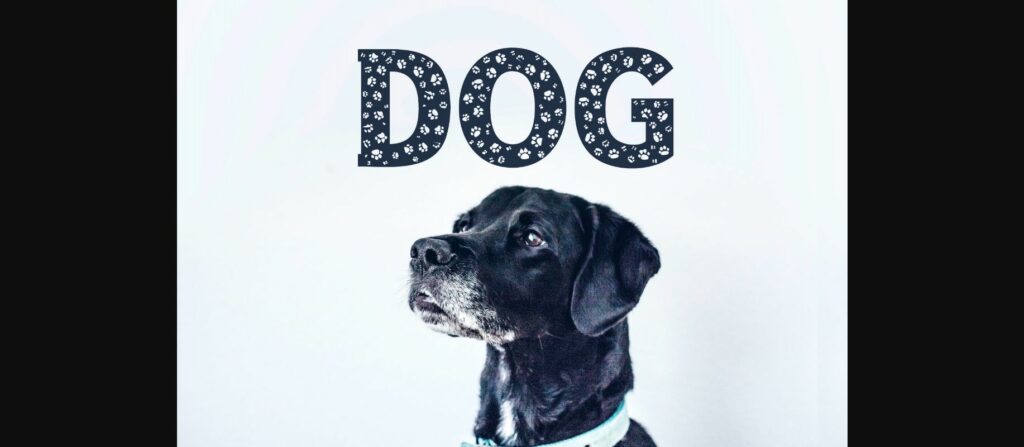 Dog Font Font Poster 4