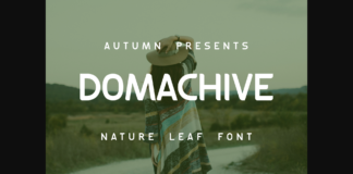 Domachive Font Poster 1