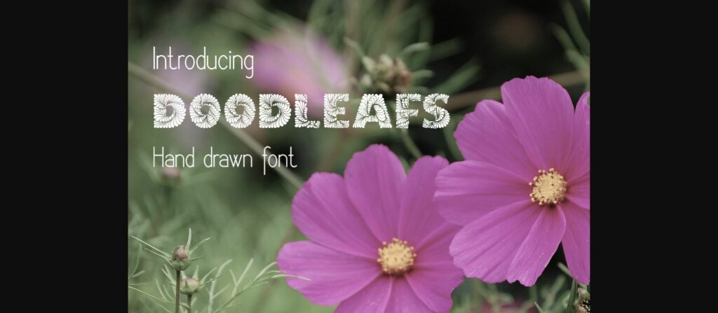 Doodleafs Font Poster 4