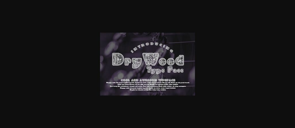 DryWood Font Poster 1