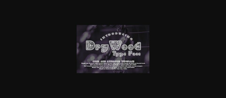 DryWood Font Poster 3