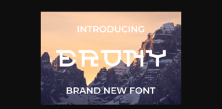 Erony Font Poster 1