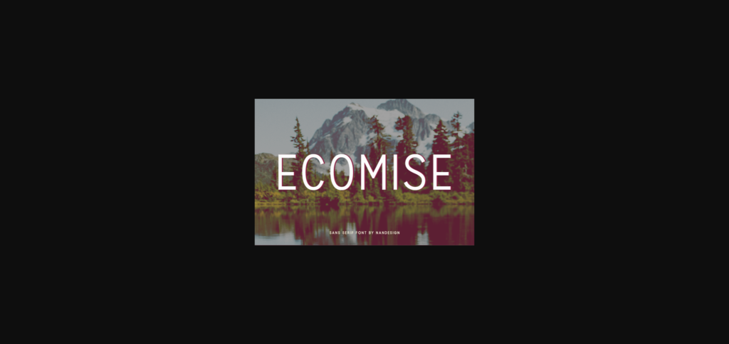 Ecomise Font Poster 3