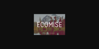 Ecomise Font Poster 1