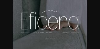 Eficena Font Poster 1