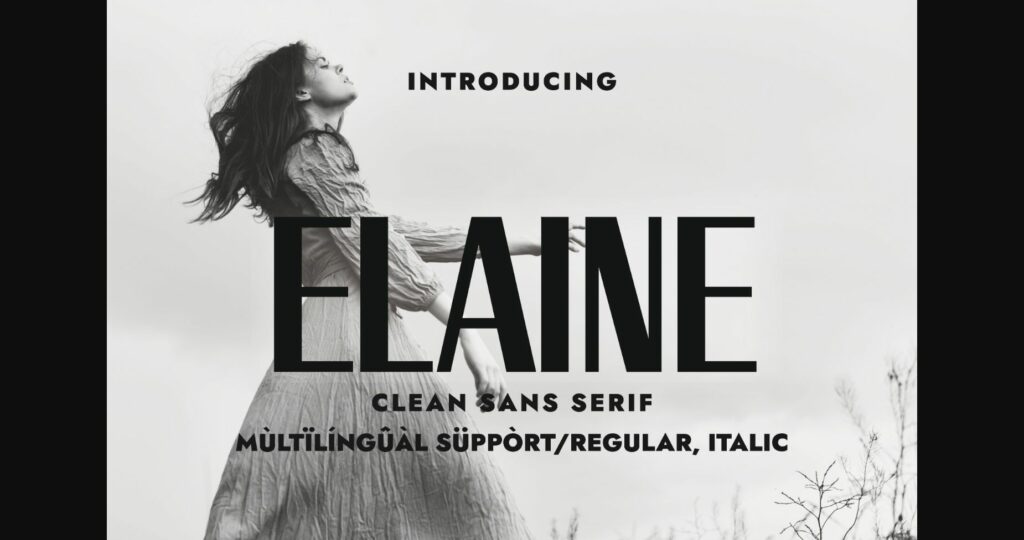 Elaine Font Poster 1