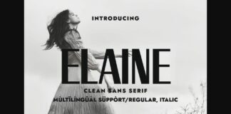 Elaine Font Poster 1