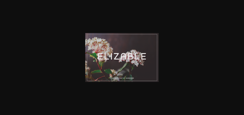 Elizable Font Poster 1