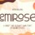 Emirose Font