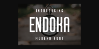 Endoka Font Poster 1