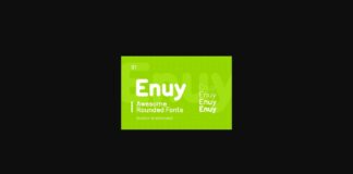 Enuy Font Poster 1