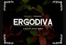 Ergodiva Font Poster 1