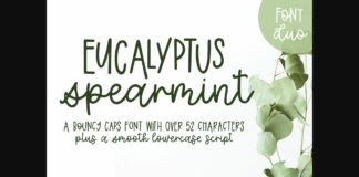 Eucalyptus Spearmint Font Poster 1