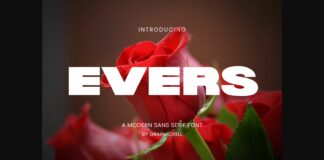 Evers Font Poster 1