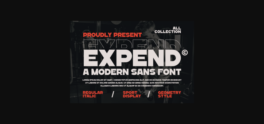 Expend Font Poster 3