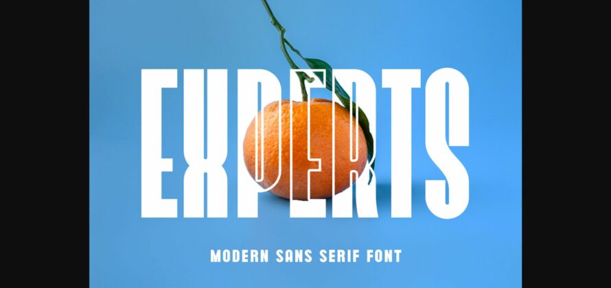 Experts Font Poster 3