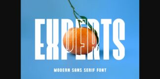 Experts Font Poster 1