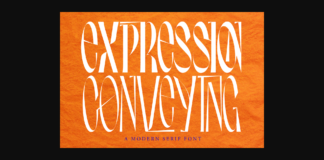 Expression Conveying Font Poster 1