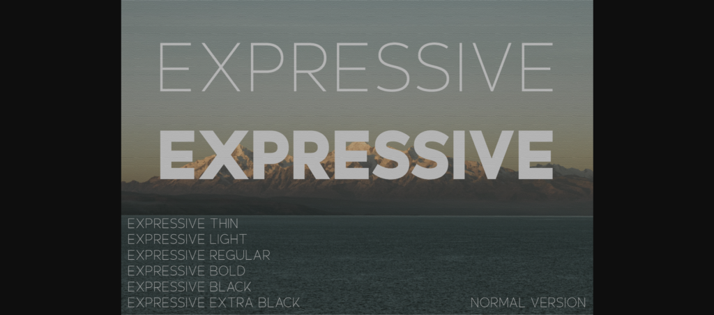 Expressive Font Poster 3